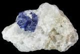 Lazurite Crystal in Marble Matrix - Afghanistan #111766-1
